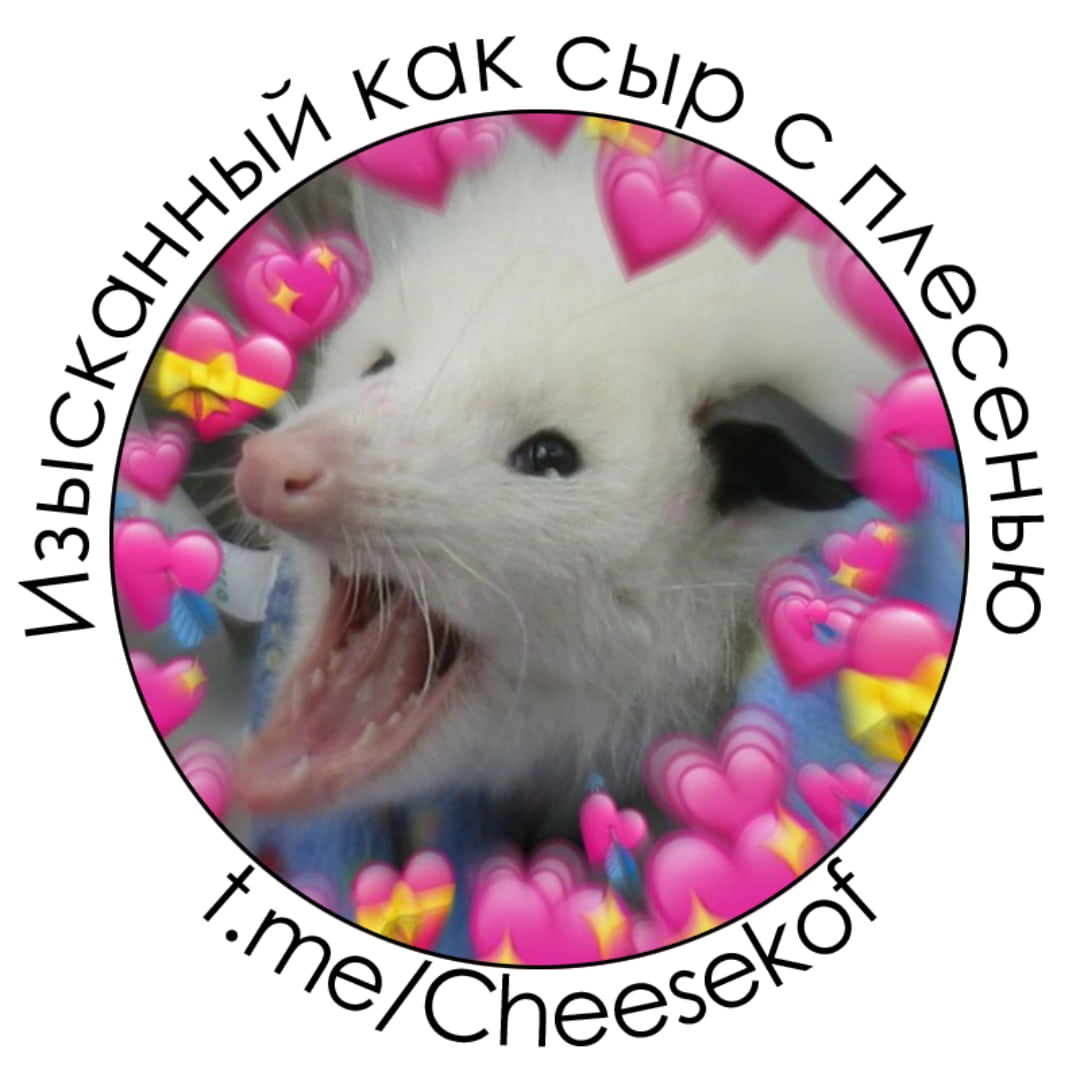 Изысканный как сыр с плесенью